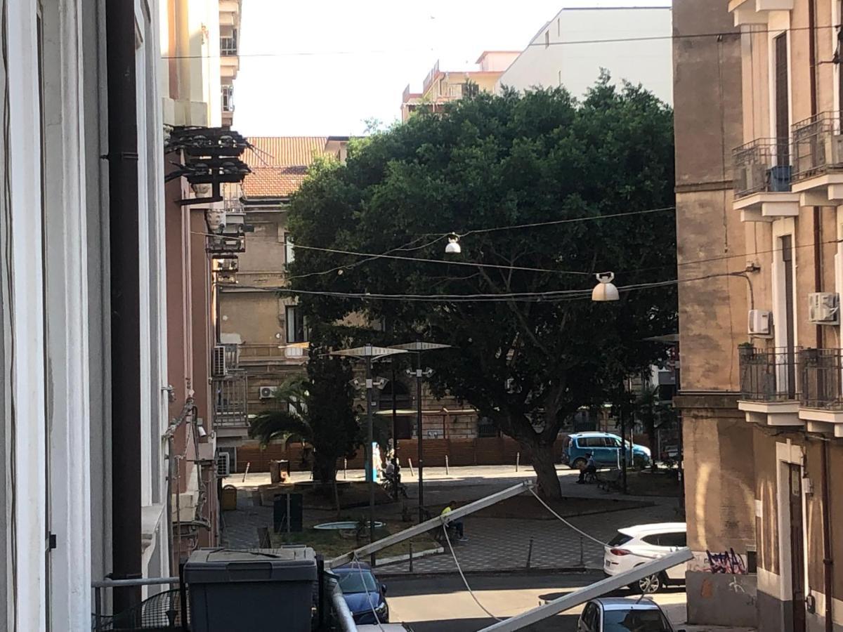 Montello & Catania